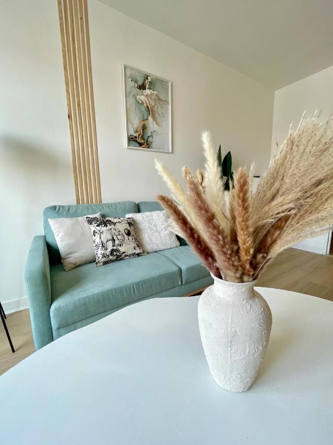 Apartament La Douceur Roannaise - Parking Prive Proche Gare Roanne Zewnętrze zdjęcie